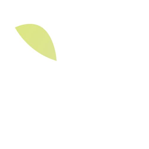 DƬ